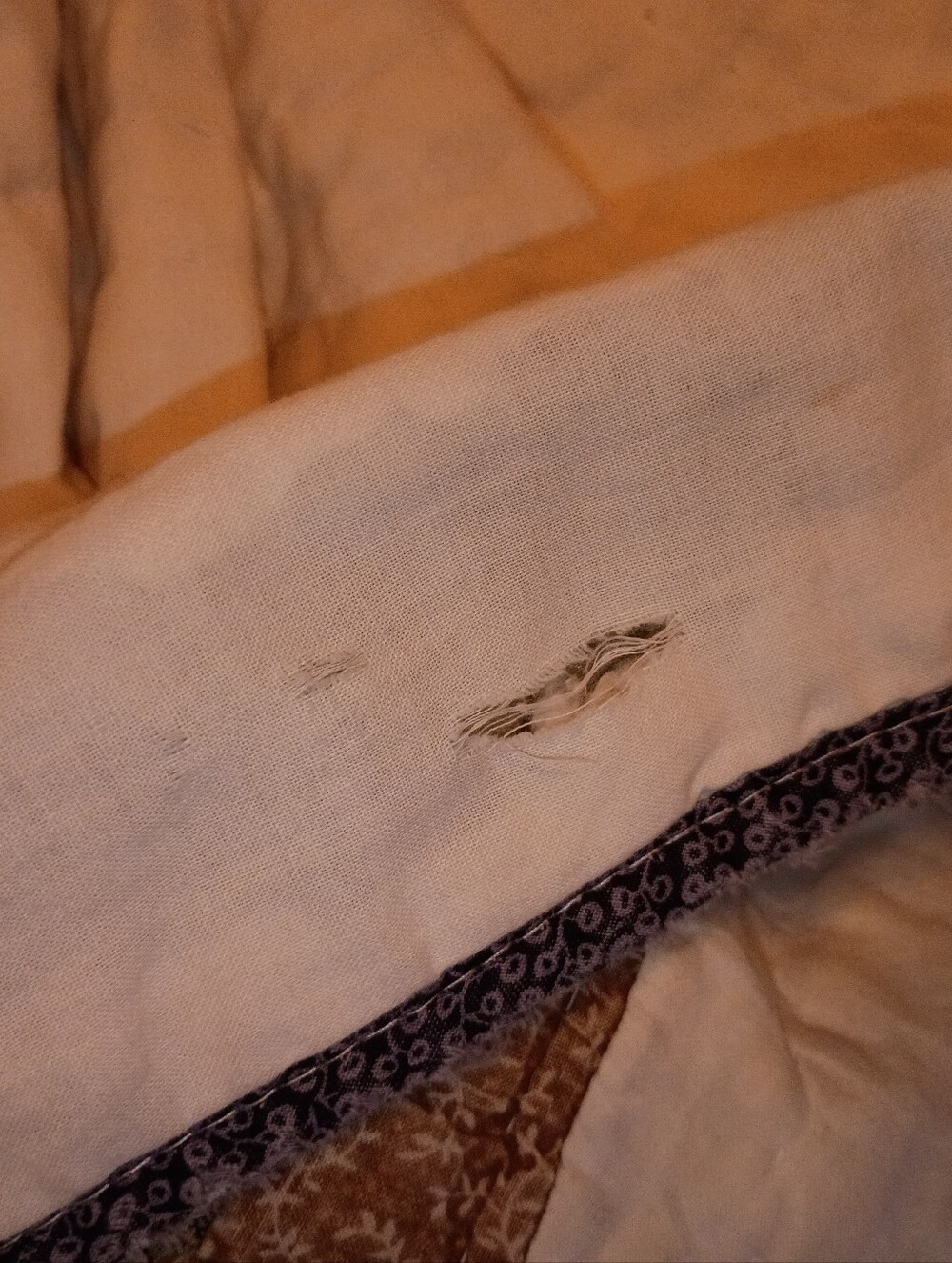 Quilt - Picture 3 of 3